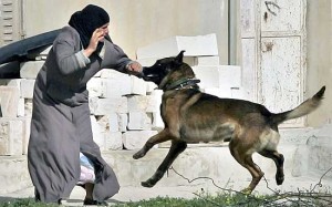 Una donna palestinese aggredita da un cane addestrato all'anti-terrorismo in forze nell'esercito israeliano.